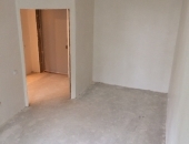 1- , 40.4 2, 17/25 . -  ,    